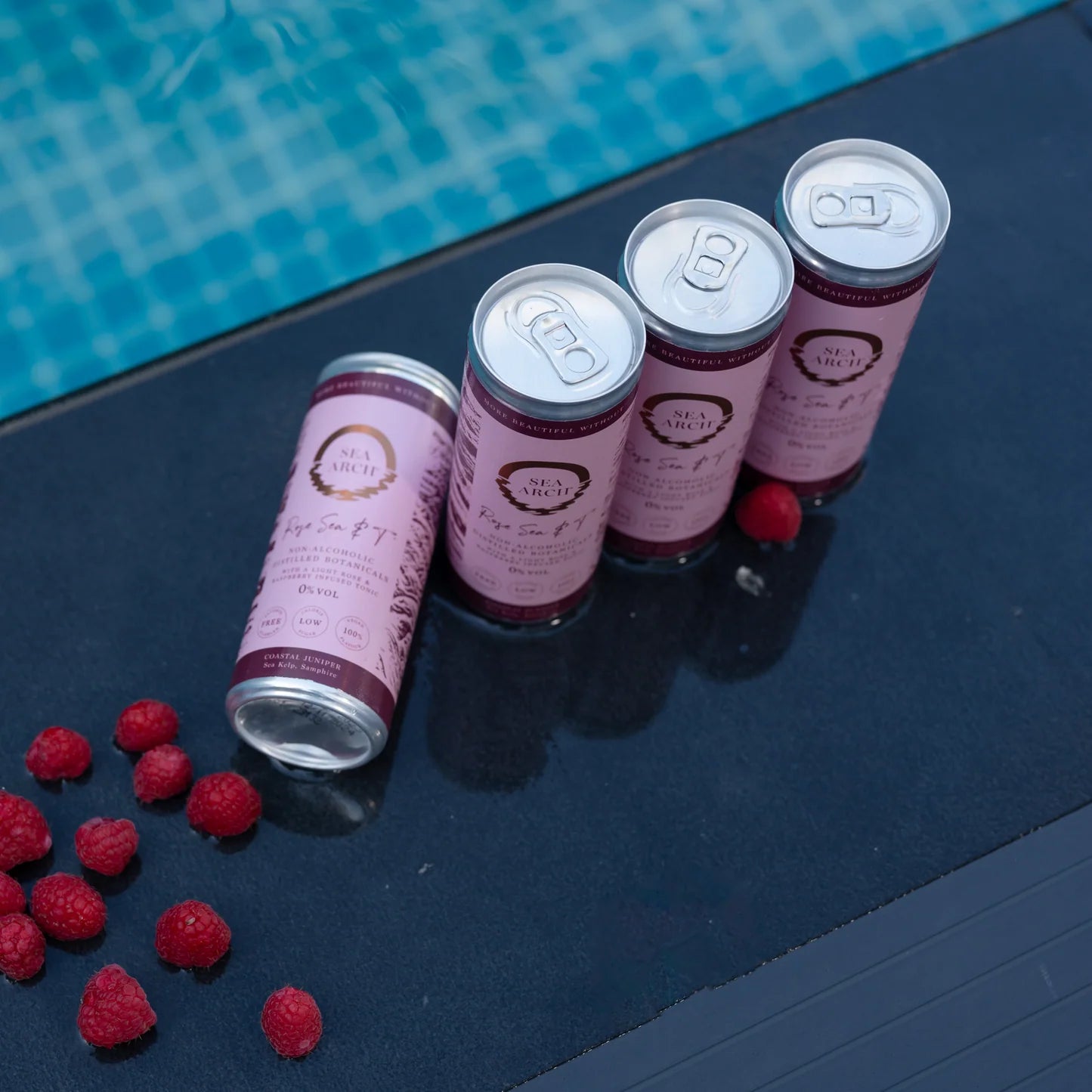 Sea Arch Rose Sea & T 0,0% 10 x 25 cl