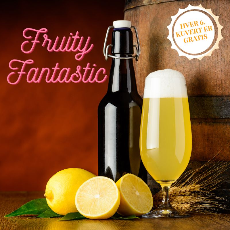 Ølsmagningskasse - Fruity Fantastic  - 6 flasker