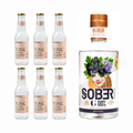 Grapefrugt Gin og Tonic drinkskasse